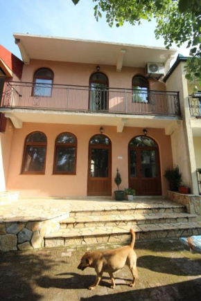 Отель Apartments Olga  Вирпазаре